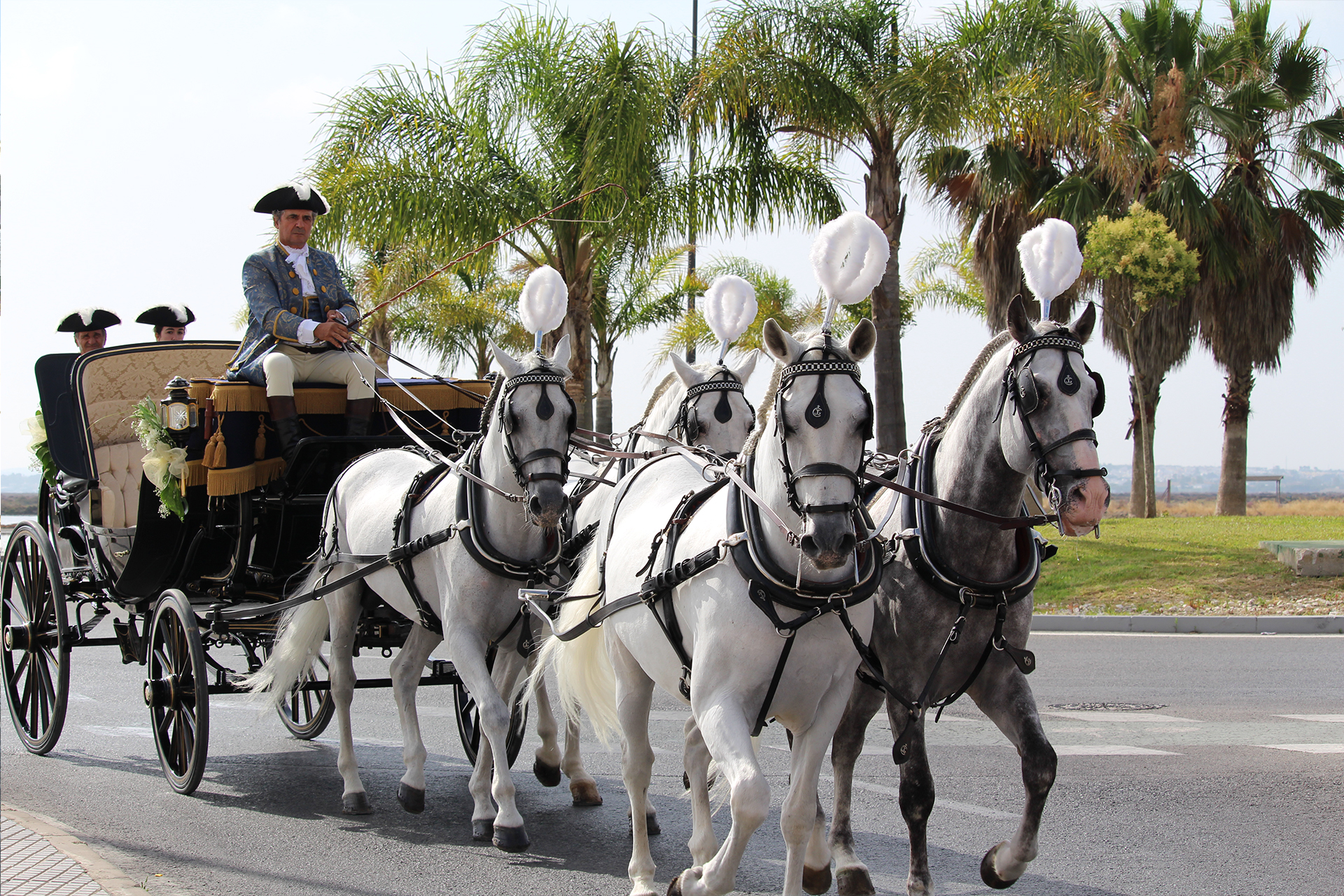 Con cuantos caballos desees